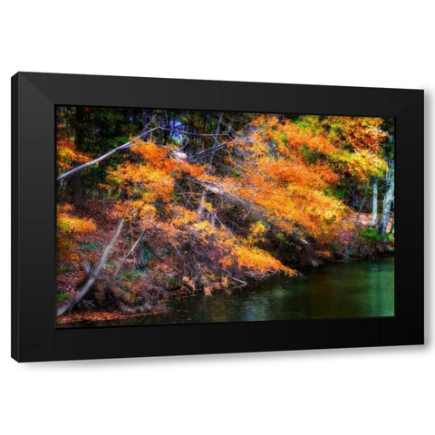 Color Of Fall III Black Modern Wood Framed Art Print by Hausenflock, Alan