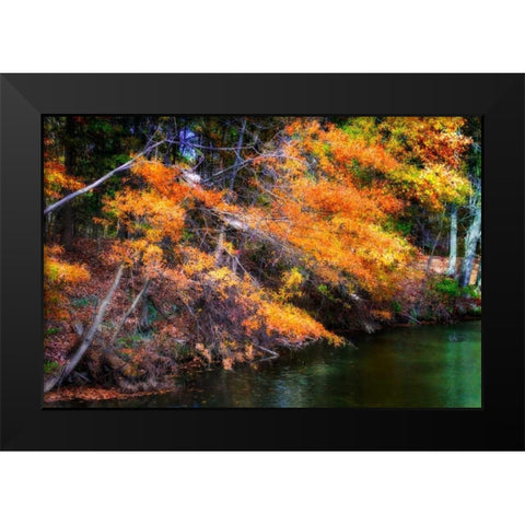 Color Of Fall III Black Modern Wood Framed Art Print by Hausenflock, Alan