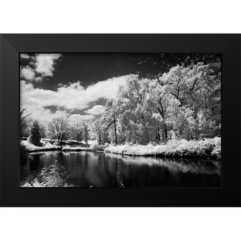 Bryan Lake IV Black Modern Wood Framed Art Print by Hausenflock, Alan