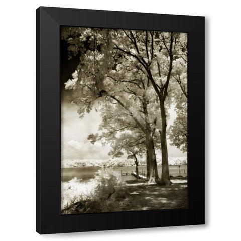 Cobb Island III Black Modern Wood Framed Art Print by Hausenflock, Alan