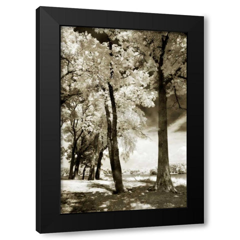 Cobb Island IV Black Modern Wood Framed Art Print by Hausenflock, Alan
