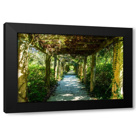 An Arbored Pathway Black Modern Wood Framed Art Print with Double Matting by Hausenflock, Alan