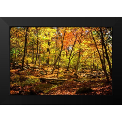 Picnic Perfect I Black Modern Wood Framed Art Print by Hausenflock, Alan