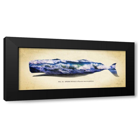 Sperm Whale Black Modern Wood Framed Art Print by Hausenflock, Alan