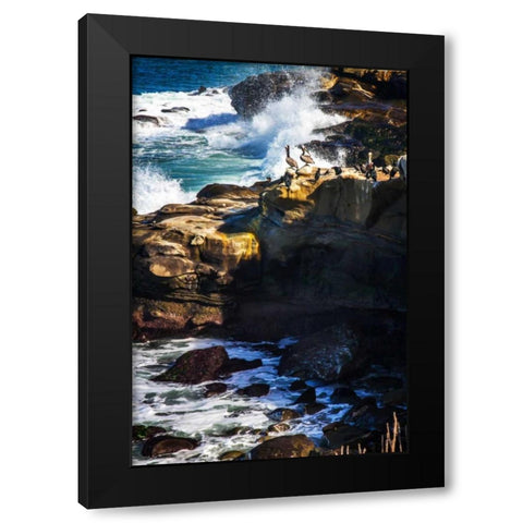 La Jolla Pelicans I Black Modern Wood Framed Art Print by Hausenflock, Alan