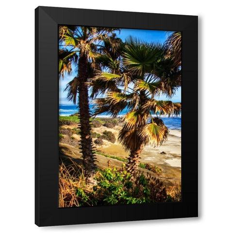 La Jolla Palms I Black Modern Wood Framed Art Print by Hausenflock, Alan