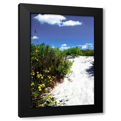 A Sandy Pathway I Black Modern Wood Framed Art Print with Double Matting by Hausenflock, Alan