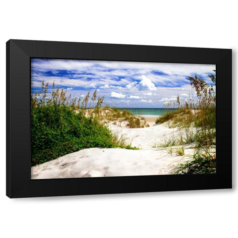 To the Beach I Black Modern Wood Framed Art Print by Hausenflock, Alan