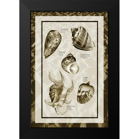 Sand and Shells I Black Modern Wood Framed Art Print by Hausenflock, Alan