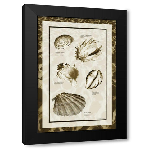 Sand and Shells II Black Modern Wood Framed Art Print with Double Matting by Hausenflock, Alan