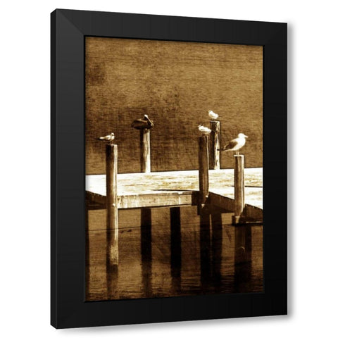 Sea Birds II Black Modern Wood Framed Art Print by Hausenflock, Alan