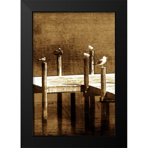 Sea Birds II Black Modern Wood Framed Art Print by Hausenflock, Alan