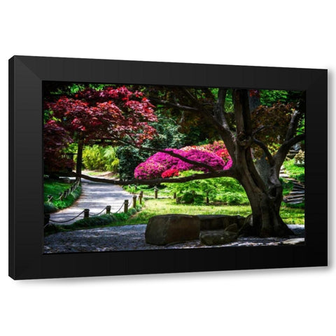 Japanese Garden III Black Modern Wood Framed Art Print by Hausenflock, Alan