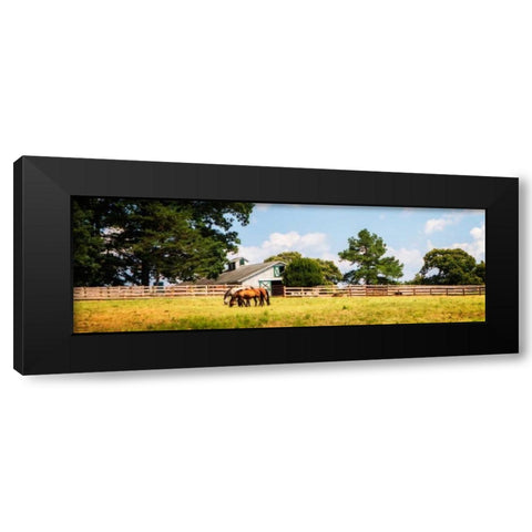 Louisa County II Black Modern Wood Framed Art Print by Hausenflock, Alan