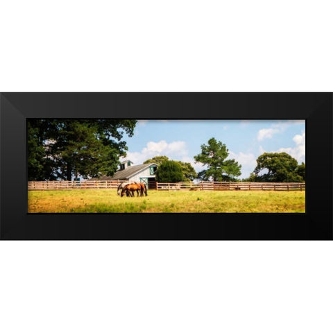 Louisa County II Black Modern Wood Framed Art Print by Hausenflock, Alan