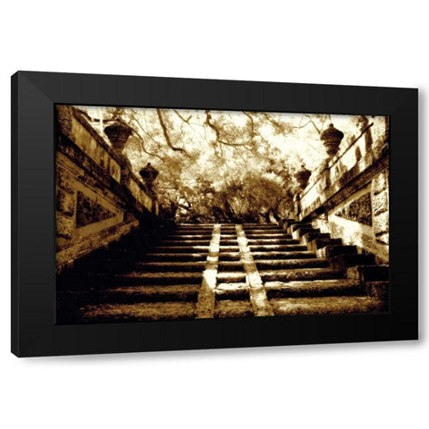 Vizcaya I Black Modern Wood Framed Art Print by Hausenflock, Alan