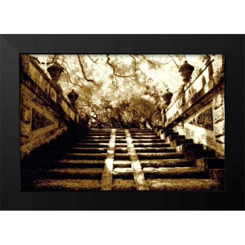 Vizcaya I Black Modern Wood Framed Art Print by Hausenflock, Alan