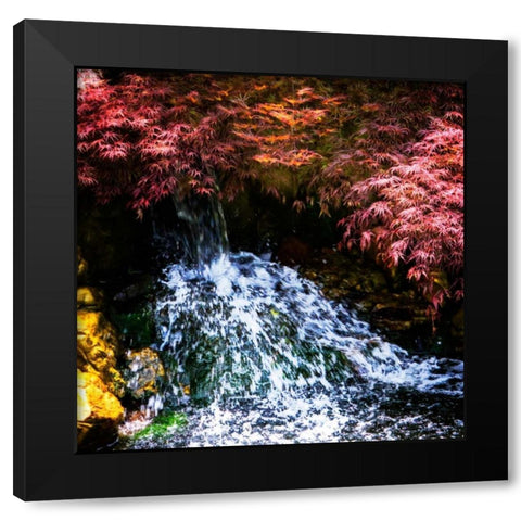 Gentle Waterfall I Black Modern Wood Framed Art Print with Double Matting by Hausenflock, Alan