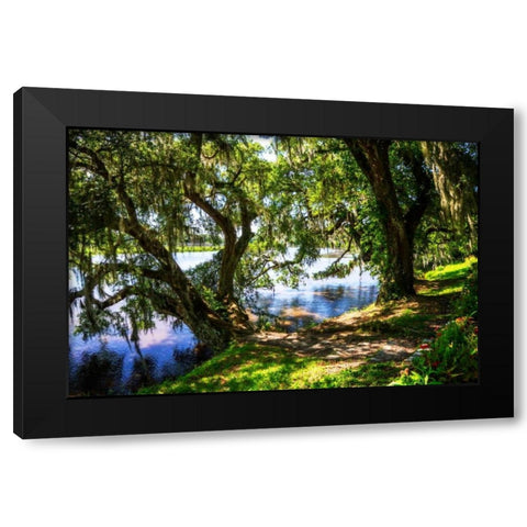 Ashley River Bank I Black Modern Wood Framed Art Print by Hausenflock, Alan