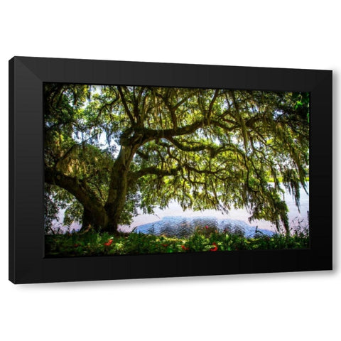 Ashely River Bank II Black Modern Wood Framed Art Print by Hausenflock, Alan