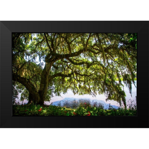 Ashely River Bank II Black Modern Wood Framed Art Print by Hausenflock, Alan