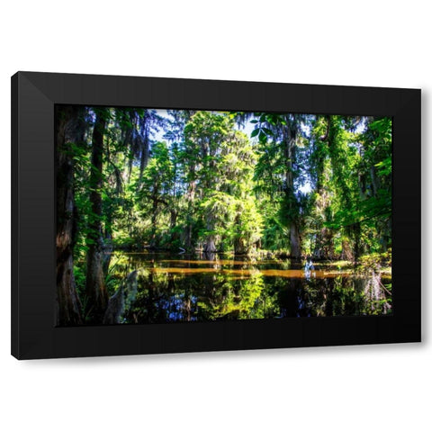 Cypress Pond I Black Modern Wood Framed Art Print with Double Matting by Hausenflock, Alan