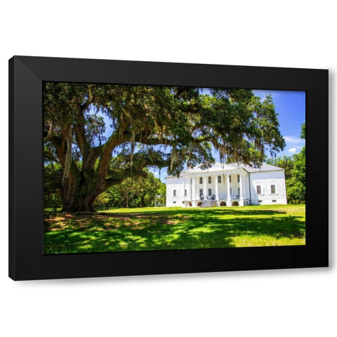Hampton Plantation Black Modern Wood Framed Art Print with Double Matting by Hausenflock, Alan