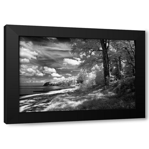 Tappahannock Shores II Black Modern Wood Framed Art Print by Hausenflock, Alan