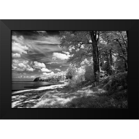 Tappahannock Shores II Black Modern Wood Framed Art Print by Hausenflock, Alan