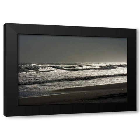 Silver Sea II Black Modern Wood Framed Art Print with Double Matting by Hausenflock, Alan