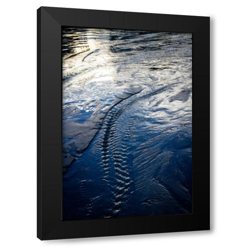 Water Etchings II Black Modern Wood Framed Art Print with Double Matting by Hausenflock, Alan