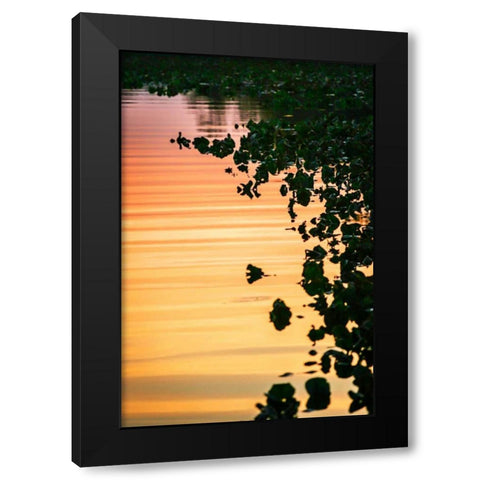 River at Twilight I Black Modern Wood Framed Art Print by Hausenflock, Alan