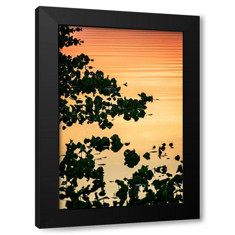 River at Twilight II Black Modern Wood Framed Art Print by Hausenflock, Alan