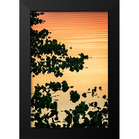 River at Twilight II Black Modern Wood Framed Art Print by Hausenflock, Alan