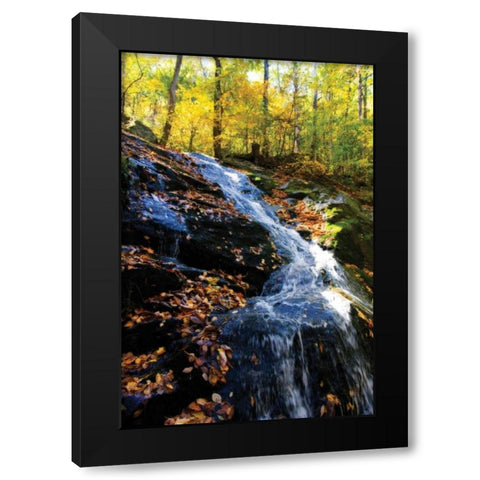 Autumn Waterfall I Black Modern Wood Framed Art Print by Hausenflock, Alan