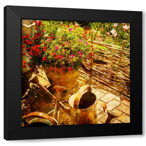 New April Garden I Black Modern Wood Framed Art Print with Double Matting by Hausenflock, Alan