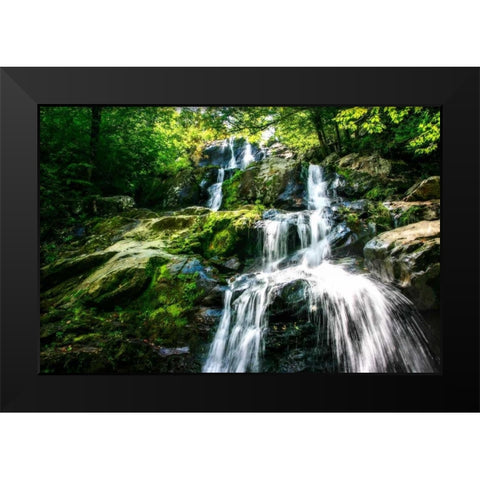 Dark Hollow Falls I Black Modern Wood Framed Art Print by Hausenflock, Alan