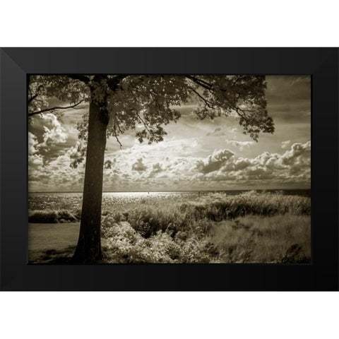 Cobb Island Afternoon I Black Modern Wood Framed Art Print by Hausenflock, Alan