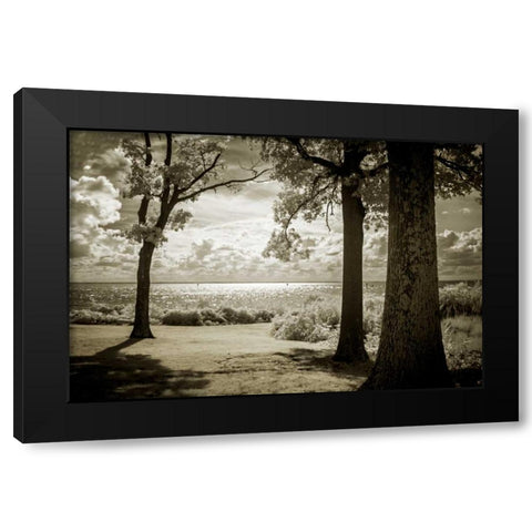 Cobb Island Afternoon II Black Modern Wood Framed Art Print with Double Matting by Hausenflock, Alan