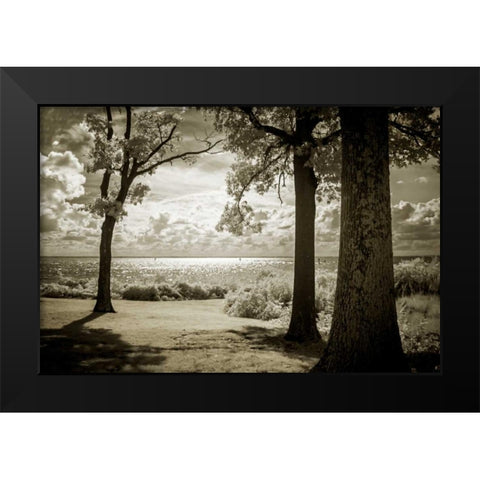 Cobb Island Afternoon II Black Modern Wood Framed Art Print by Hausenflock, Alan