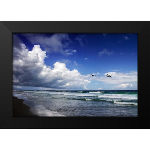 Awesome Beach Day I Black Modern Wood Framed Art Print by Hausenflock, Alan