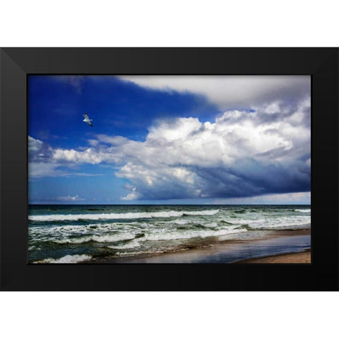 Awesome Beach Day II Black Modern Wood Framed Art Print by Hausenflock, Alan