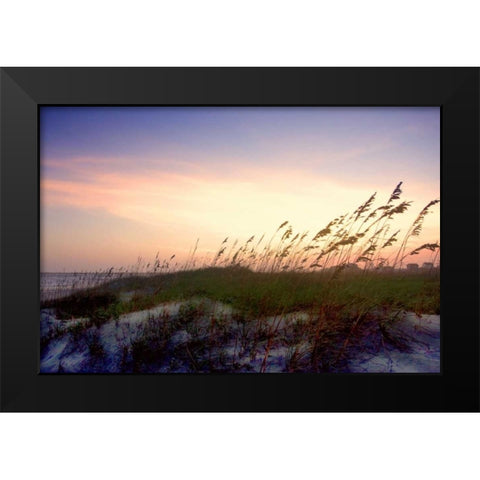 Rosey Sunset II Black Modern Wood Framed Art Print by Hausenflock, Alan