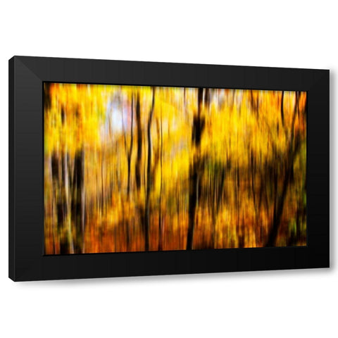 Autumn Impressions I Black Modern Wood Framed Art Print with Double Matting by Hausenflock, Alan