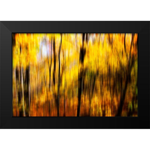 Autumn Impressions I Black Modern Wood Framed Art Print by Hausenflock, Alan