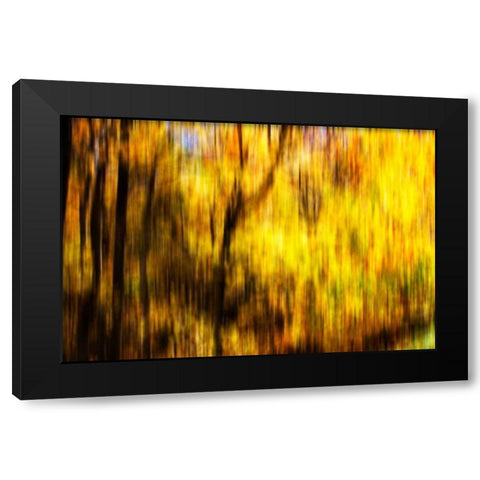 Autumn Impressions II Black Modern Wood Framed Art Print by Hausenflock, Alan