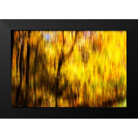 Autumn Impressions II Black Modern Wood Framed Art Print by Hausenflock, Alan