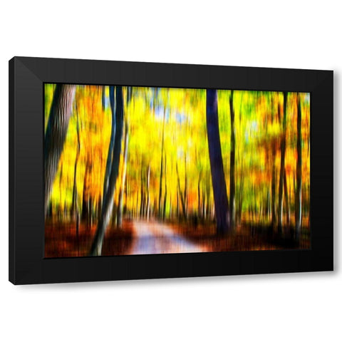 Autumn Impressions III Black Modern Wood Framed Art Print with Double Matting by Hausenflock, Alan