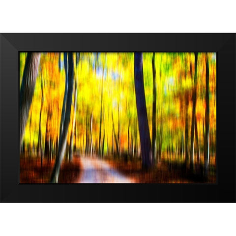 Autumn Impressions III Black Modern Wood Framed Art Print by Hausenflock, Alan