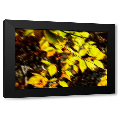 Autumn Impressions VII Black Modern Wood Framed Art Print by Hausenflock, Alan